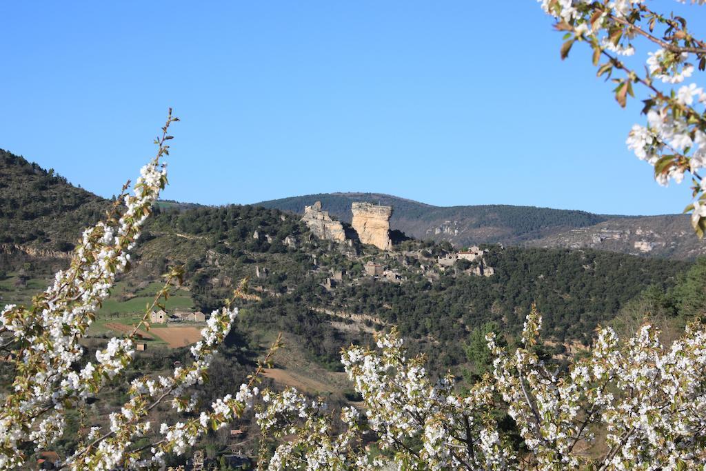 Gite La Cerise Qui Rit La Cresse Exterior foto